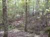 Beavers Bend Hiking