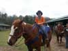 Beavers Bend Horseback